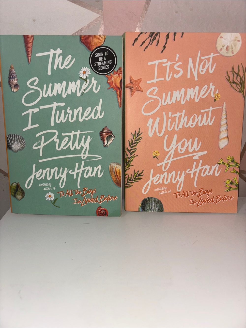 The Summer I turned Pretty + It’s Not Summer Without You by Jenny Han